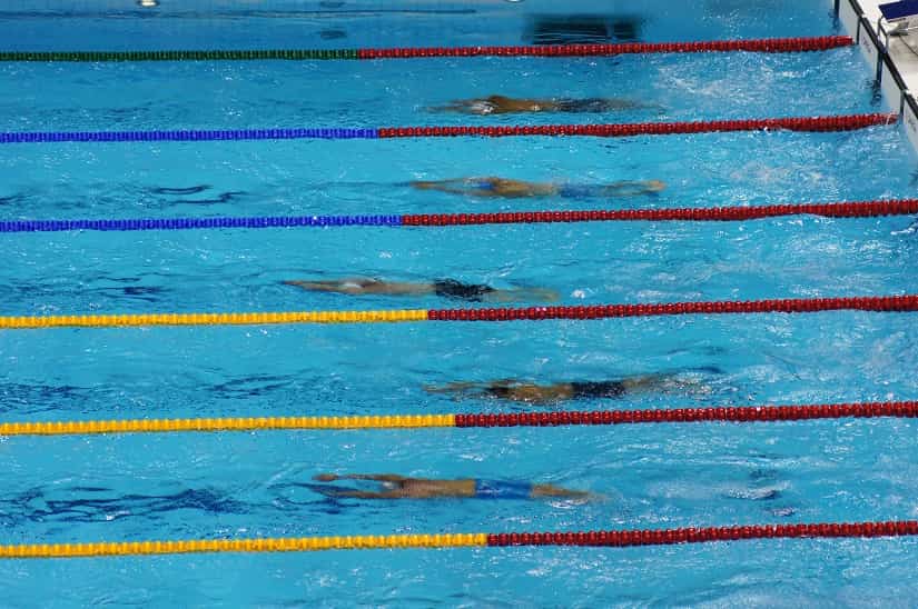 The Ultimate List of Swimming Articles