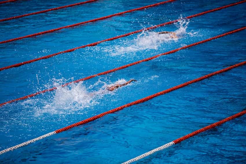 6 Takeaways for Swimmers from the book Peak Performance