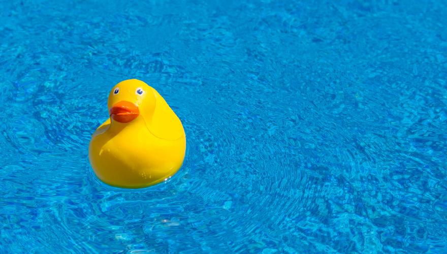 Best Digital Pool Testers - Buyers Guide