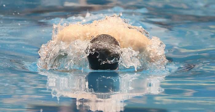 Butterfly Stroke: Everything You've Ever Wanted to Know