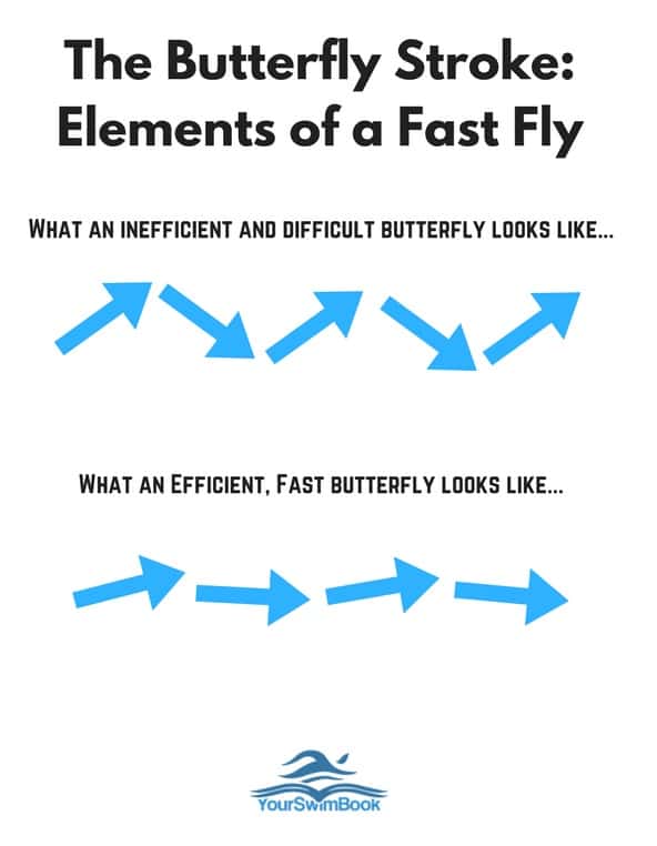 The Butterfly Stroke: Everything You've Ever Wanted to Know