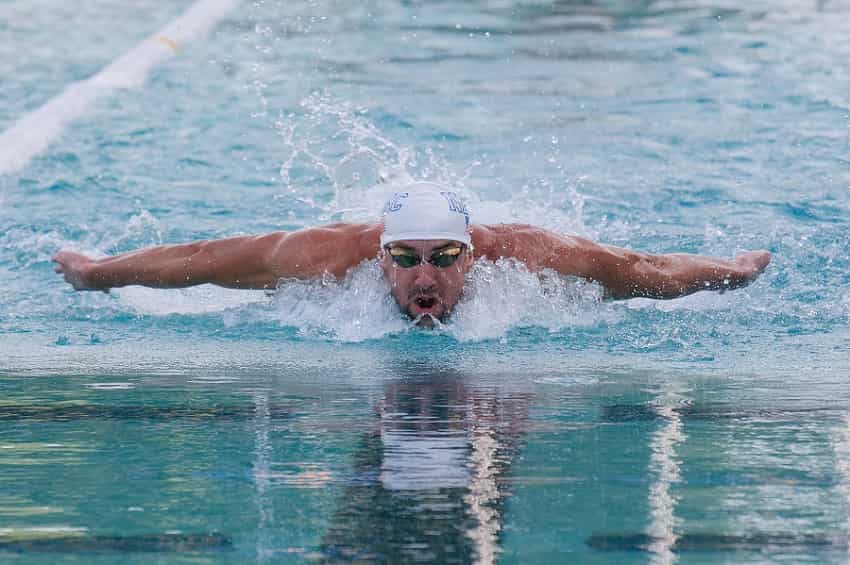 The Butterfly Stroke: Everything You Ever Wanted to Know