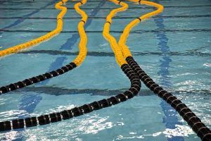 Swimming Terms for New Swim Parents and Swimmers