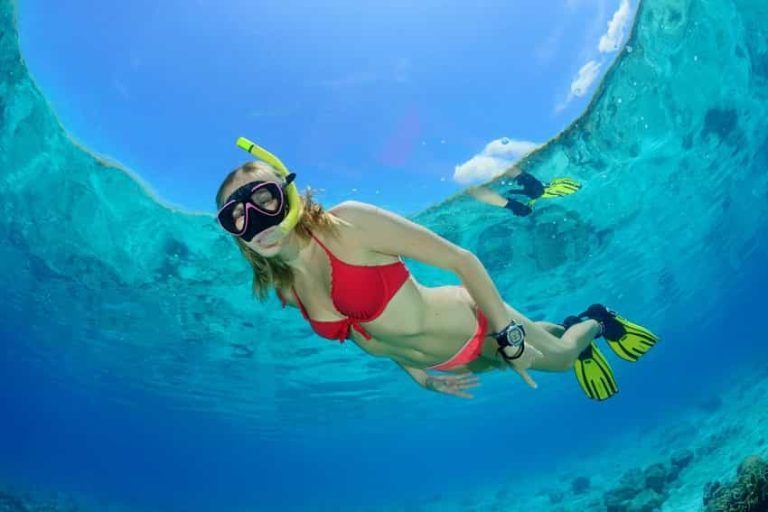 6 Best Fins for Snorkeling