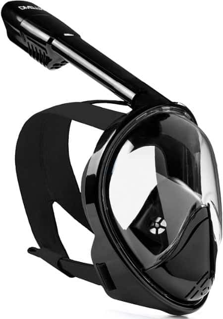 Divelux Snorkel Mask