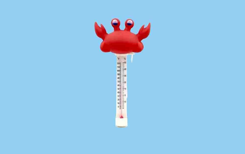XY-WQ Floating Crab Thermometer for Pools