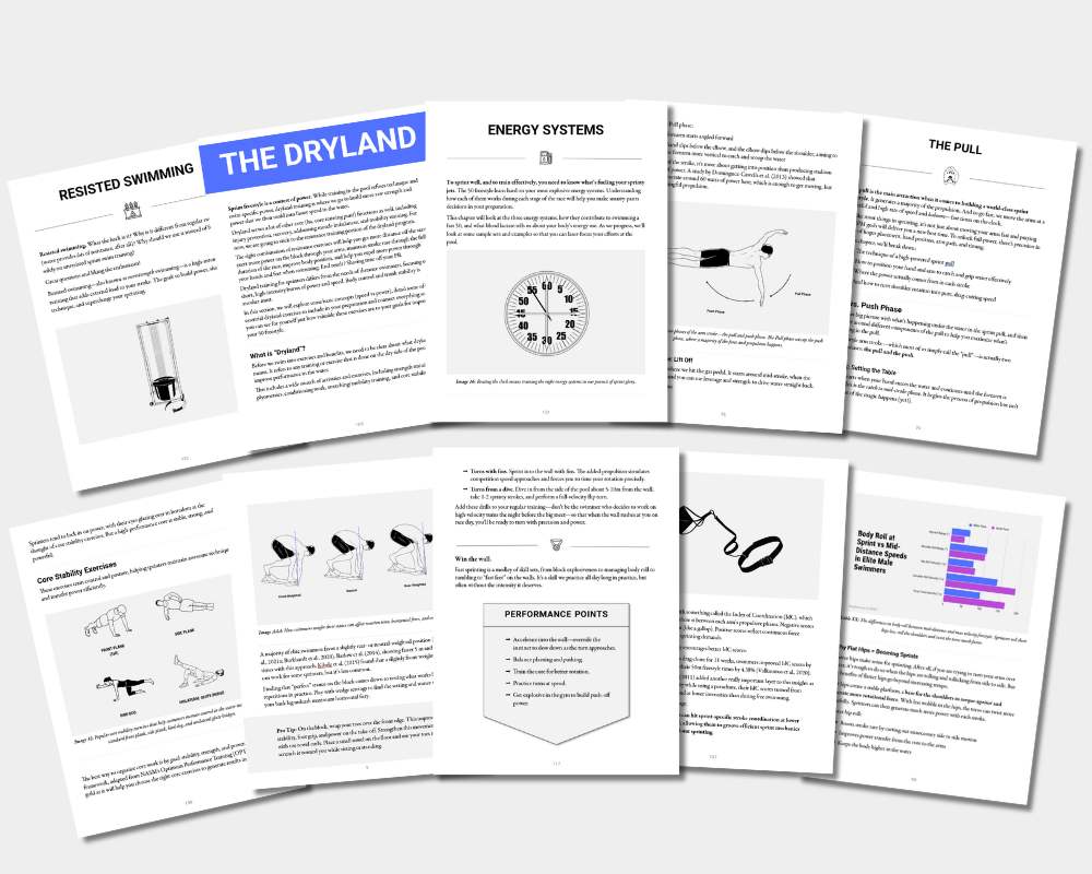The 50 Freestyle Blueprint - Sample Pages 1
