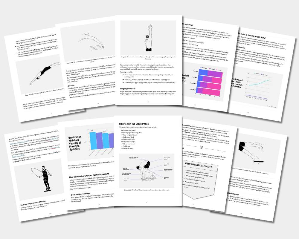 The 50 Freestyle Blueprint - Sample Pages 2