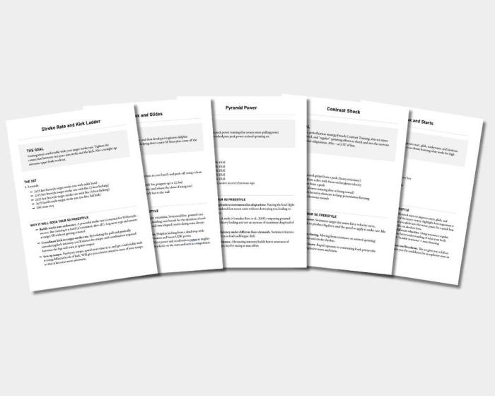 The 50 Freestyle Blueprint (eBook) - Image 4